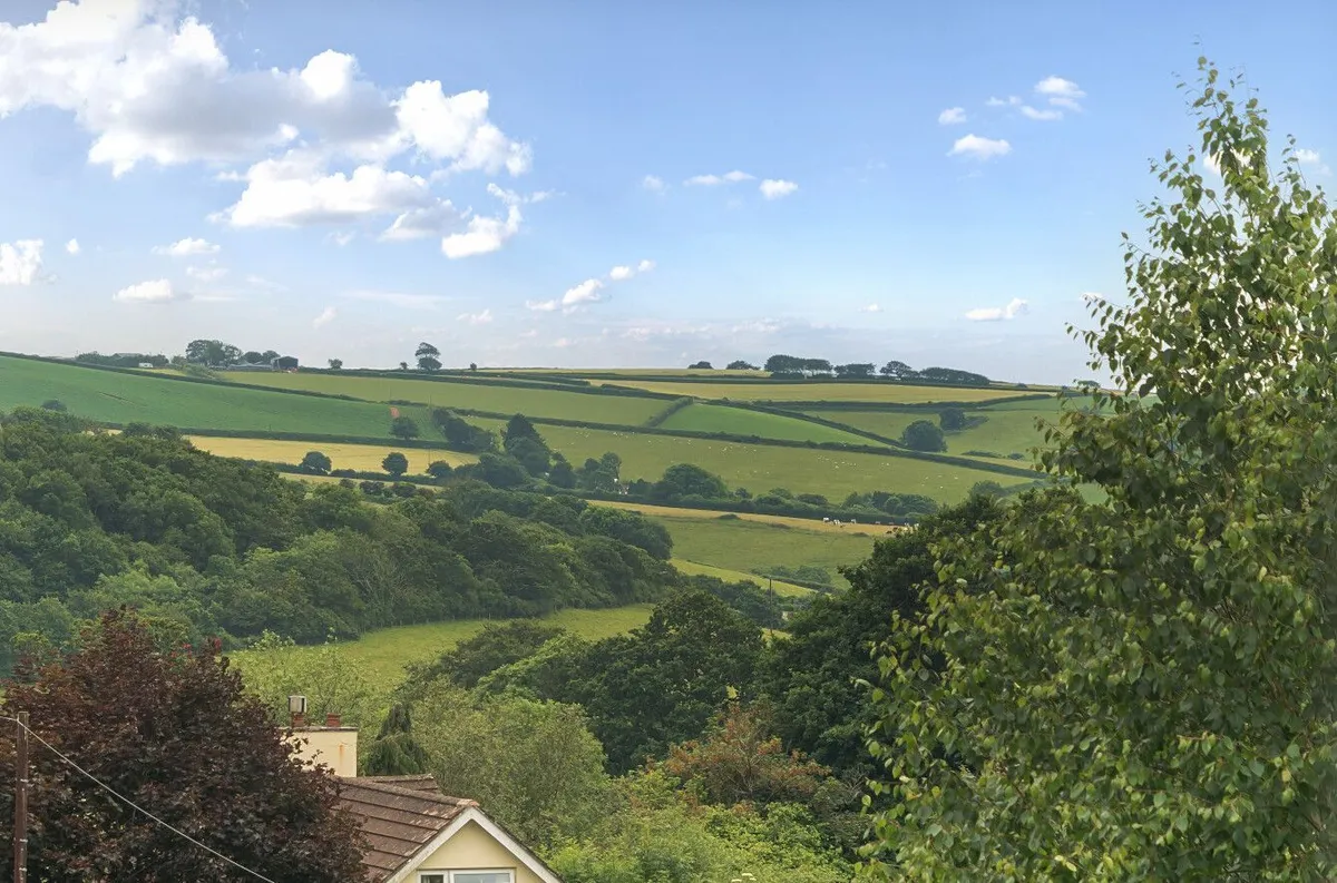 Stile Orchard, Loddiswell