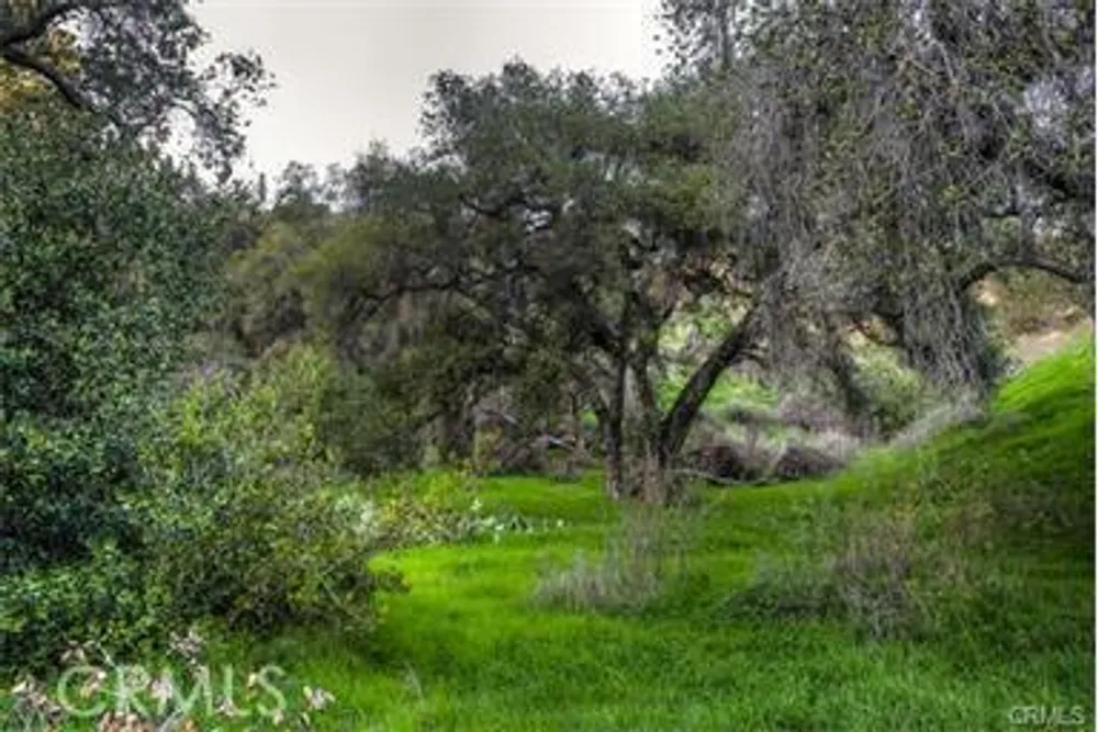682 Deodar Ln, Bradbury, CA 91008