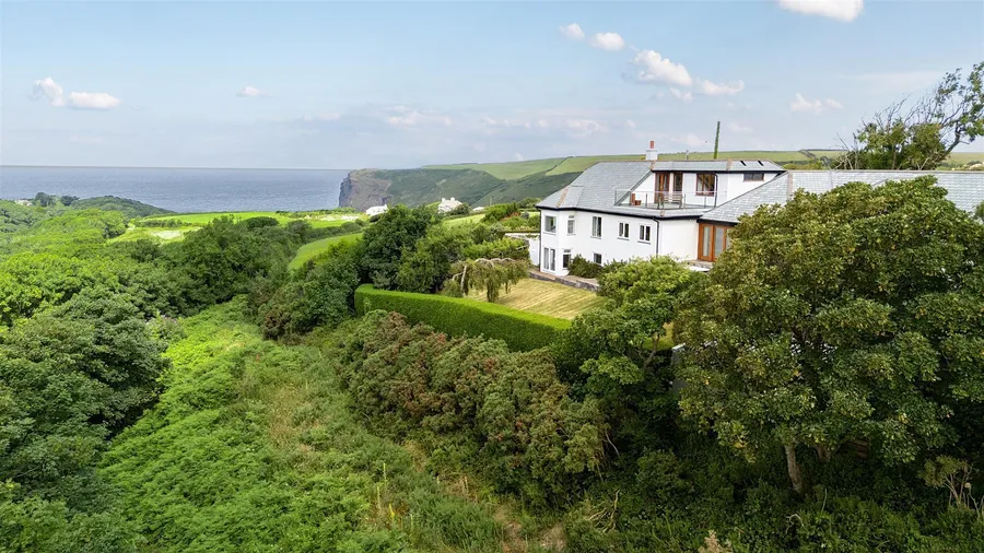 Property Image 39