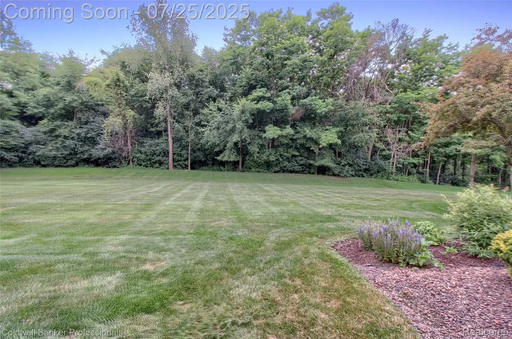 49733 Ash Ct, Plymouth, MI 48170