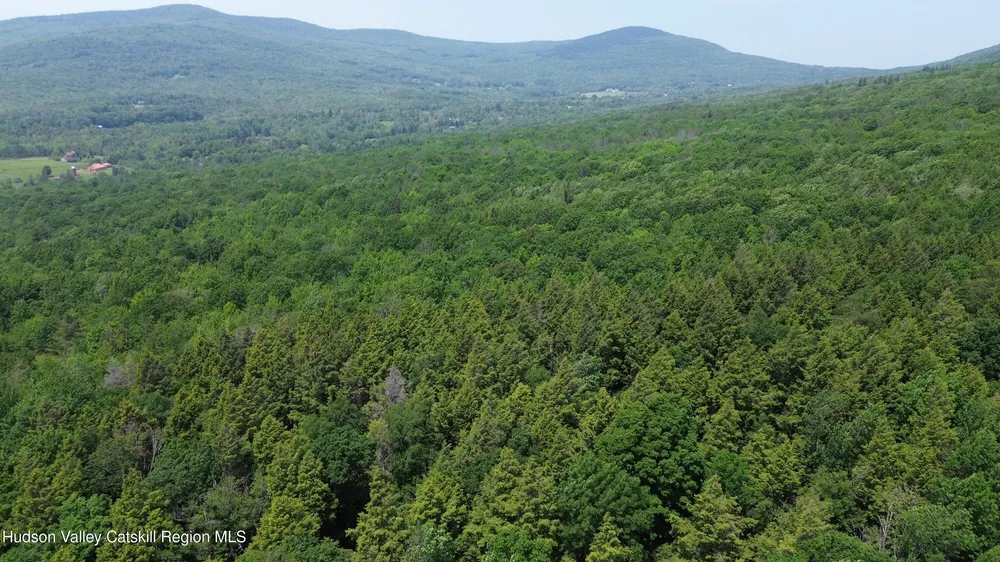 Larsen Dr, Windham, NY 12496
