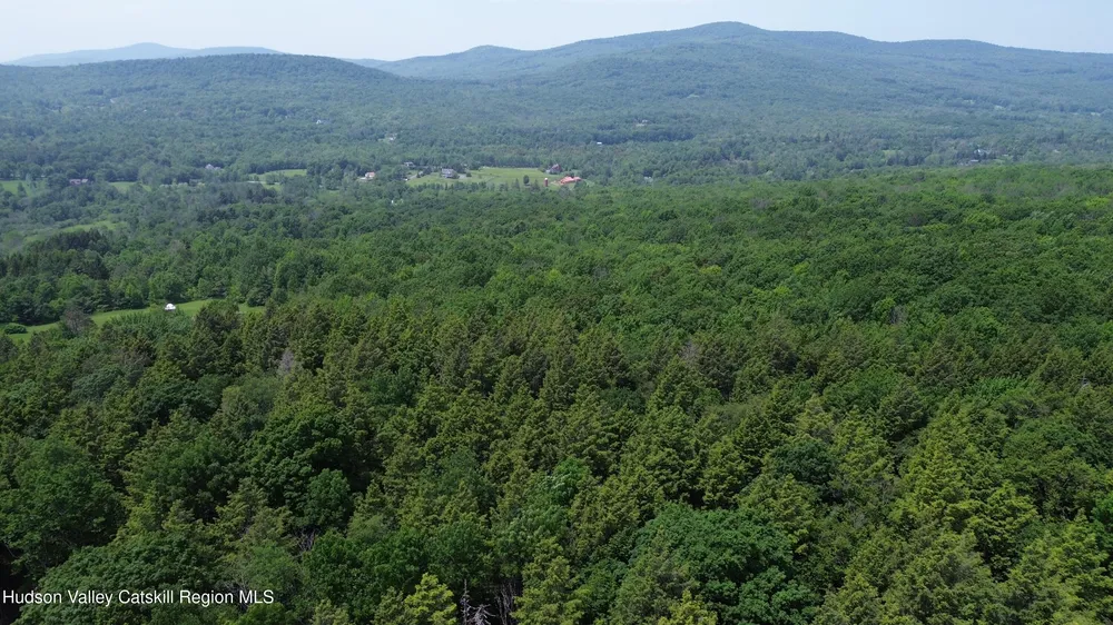 Larsen Dr, Windham, NY 12496