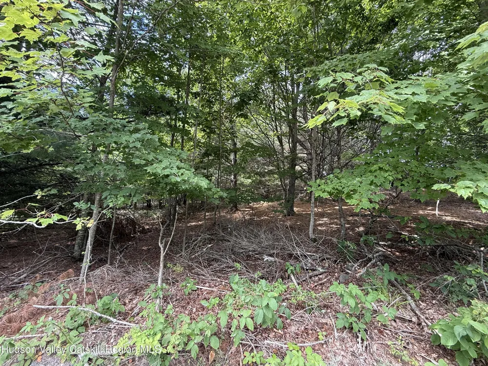 Larsen Dr, Windham, NY 12496