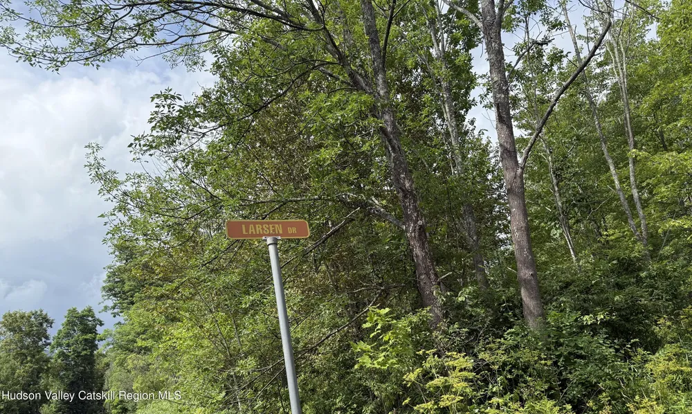 Larsen Dr, Windham, NY 12496