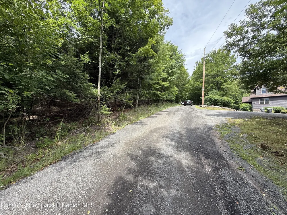 Larsen Dr, Windham, NY 12496