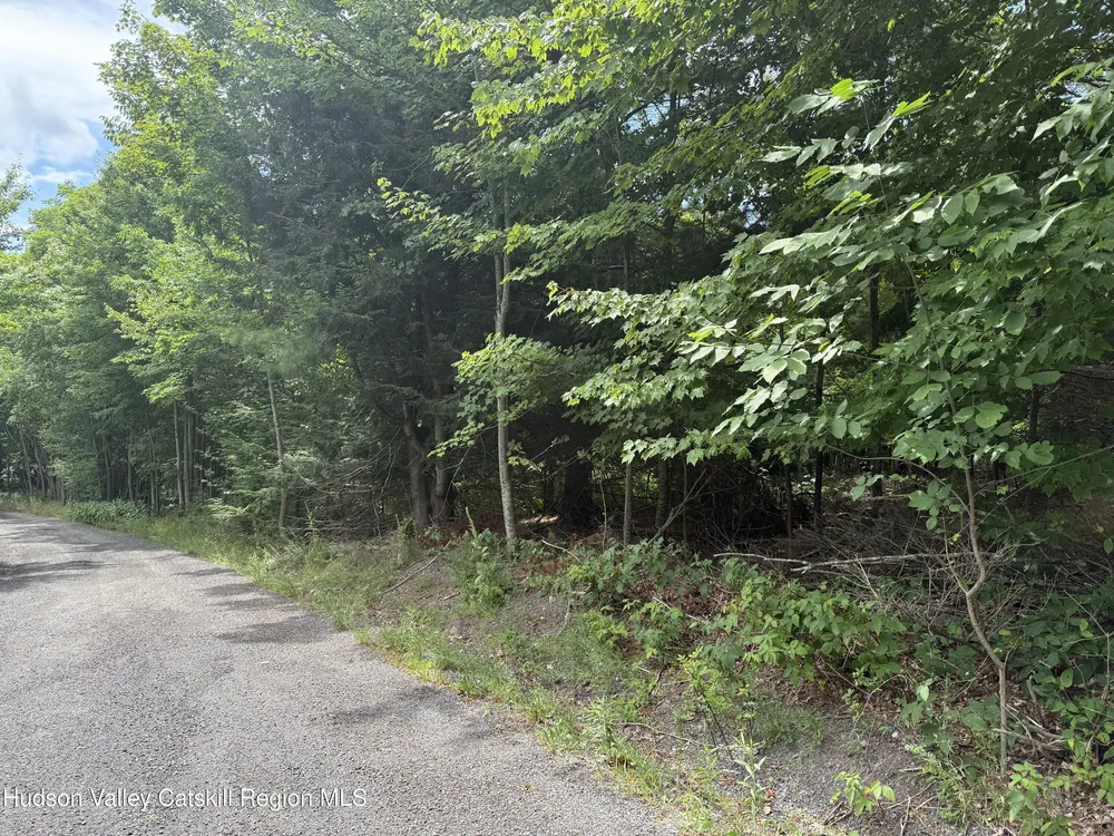 Larsen Dr, Windham, NY 12496