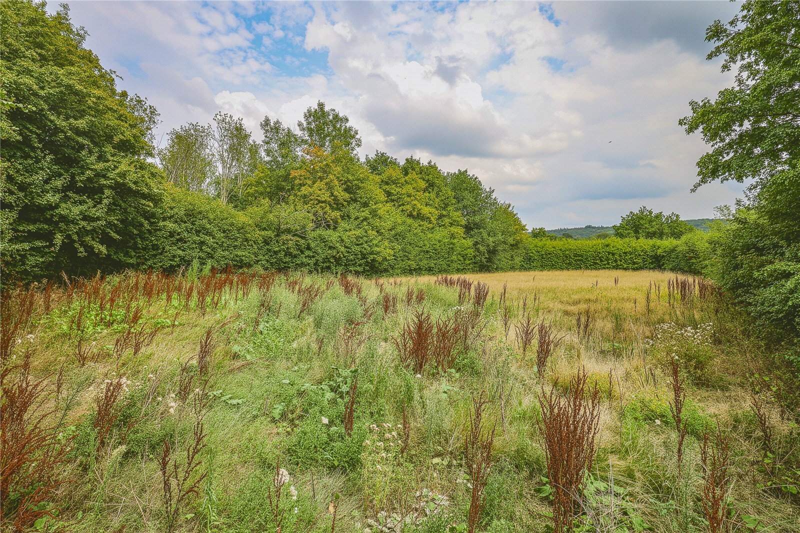 Andlers Ash Road, Liss, Hampshire, GU33 Image 26