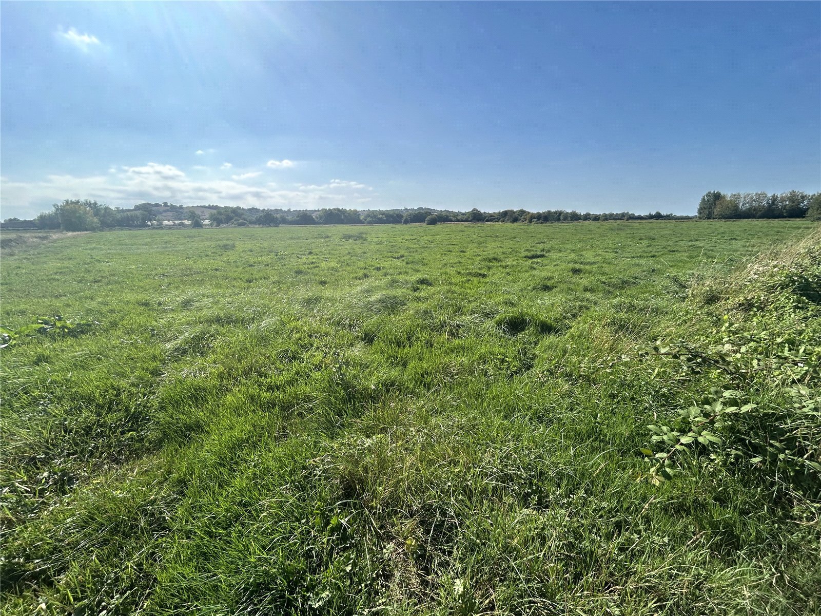 Henley, Langport, TA10