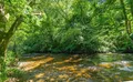 Property image gallery