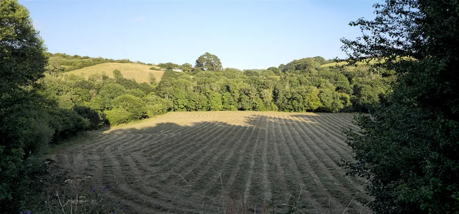 Property Image 57