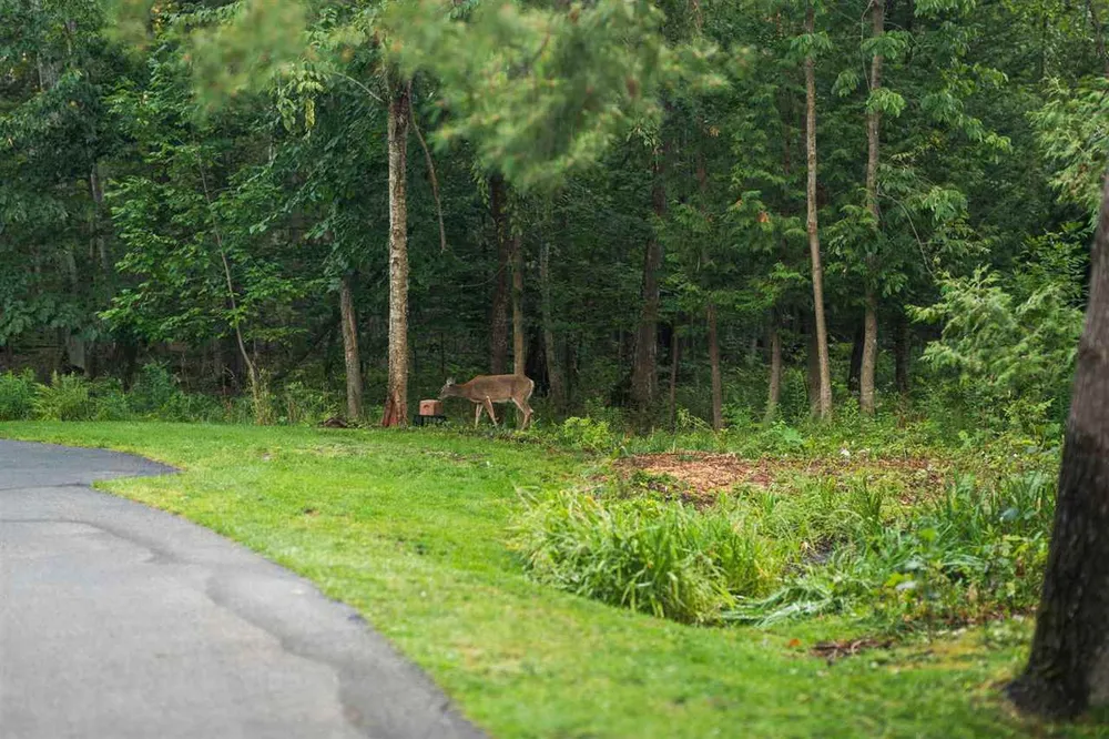 731 W Hathaway Rd, Harbor Springs, MI 49740