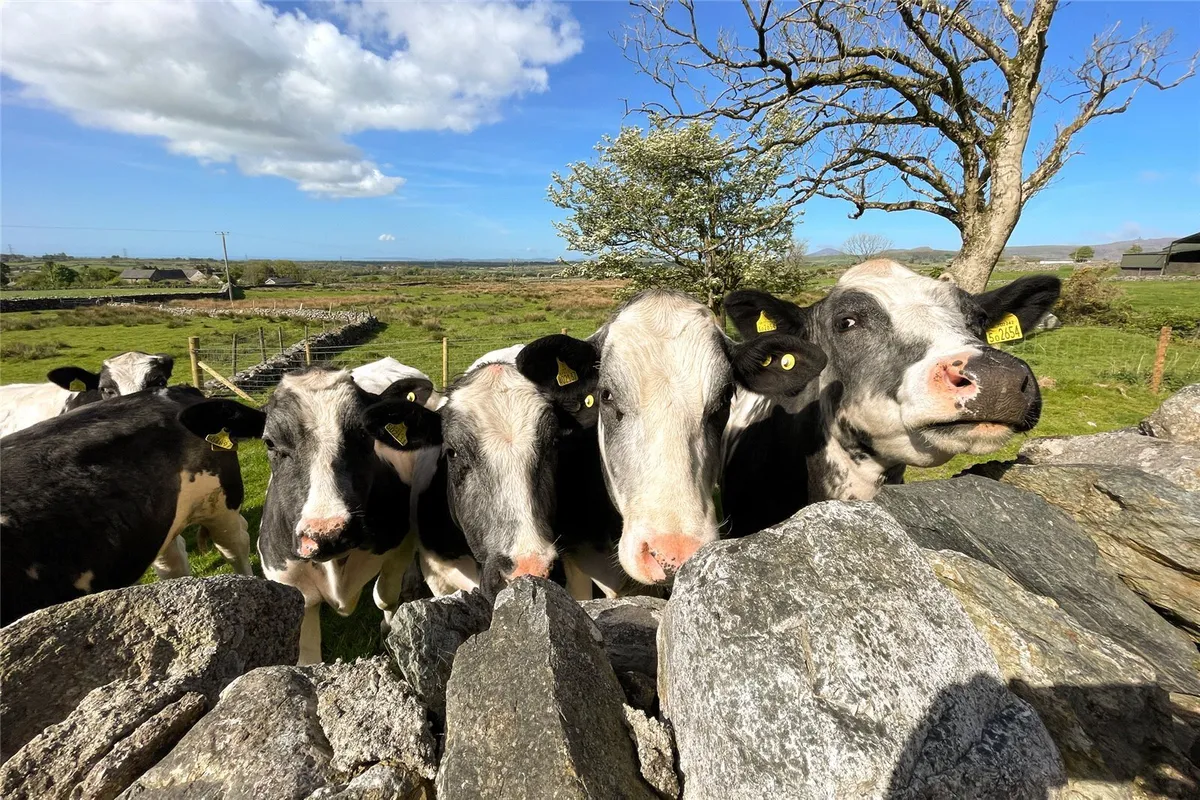 Garndolbenmaen, Gwynedd, LL51