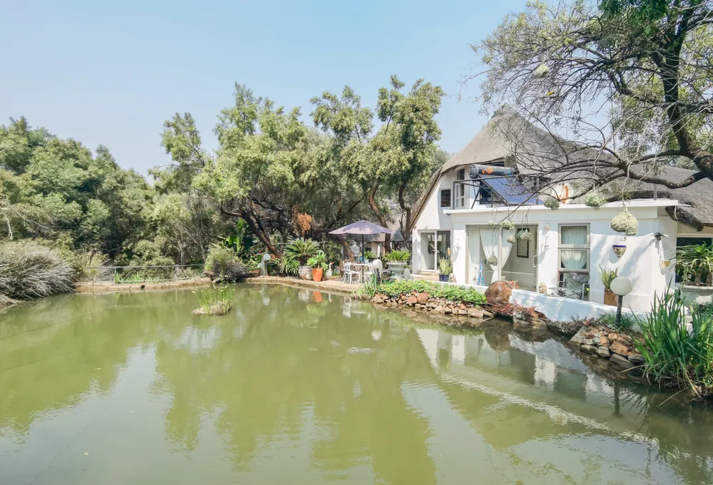 South Africa, North West, K'shane, Sagewood, 5