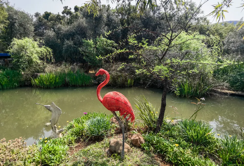 South Africa, North West, K'shane, Sagewood, 5