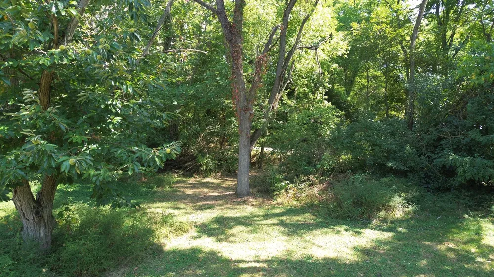 2642 Springfield Xenia Rd, Springfield, OH 45506