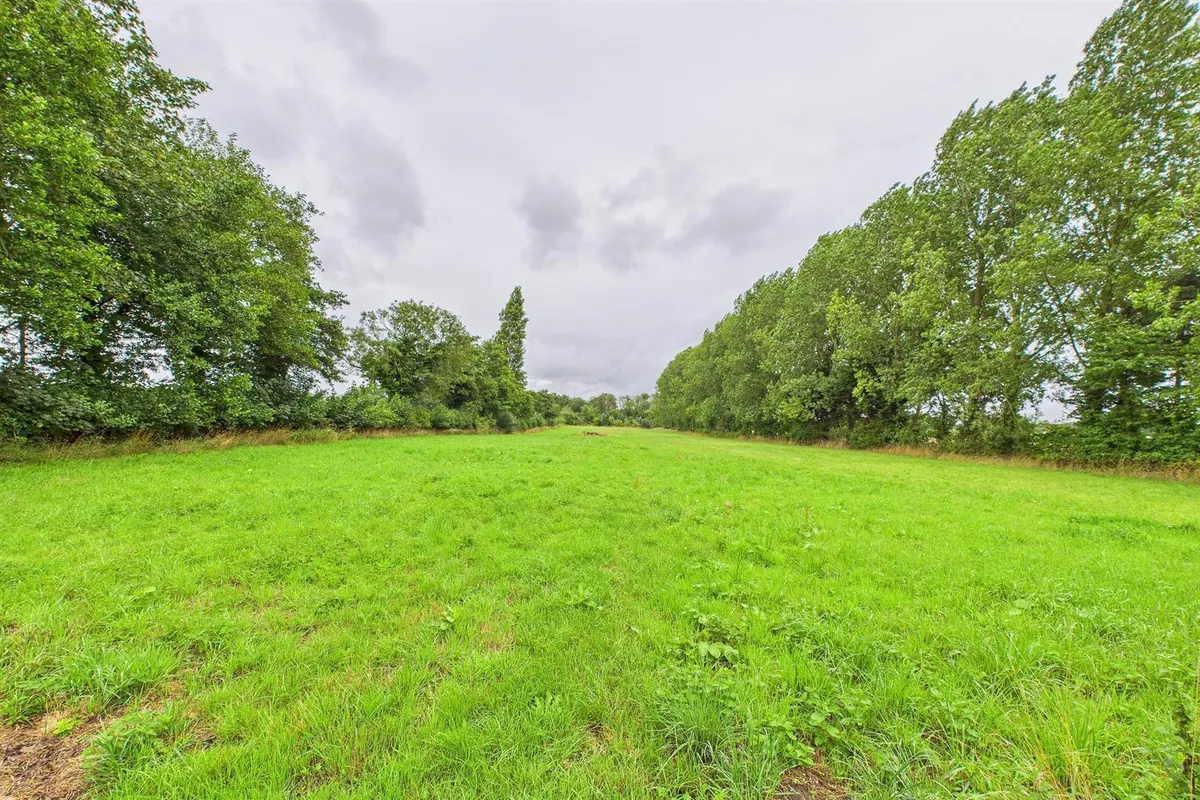 Scoulton Road, Rockland St. Peter, Attleborough