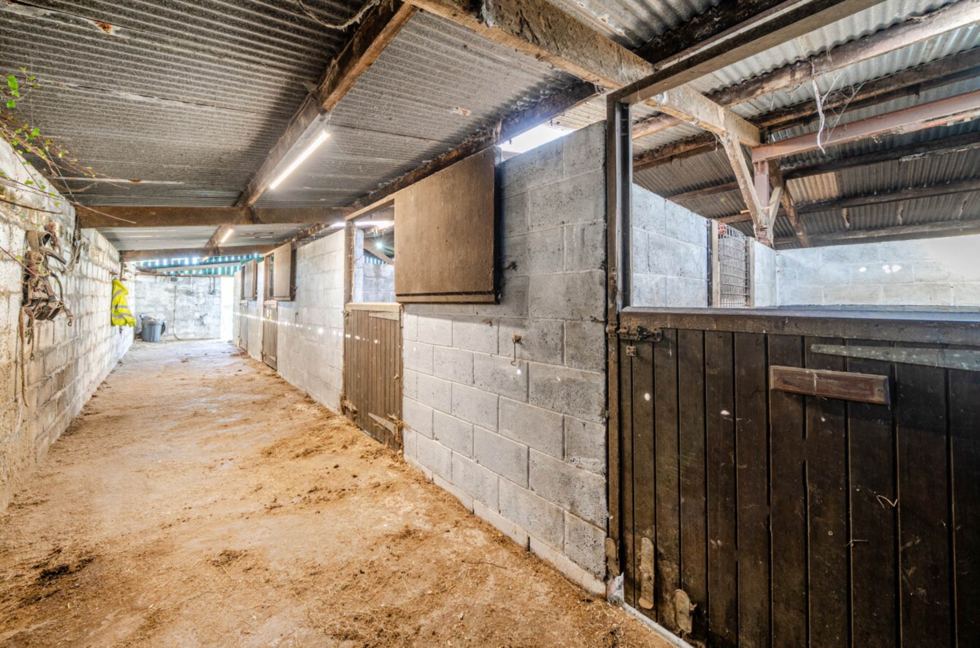 Celaeron Equestrian Centre & Caravan Site, Neuaddlwyn, Ceredigon. Image 18