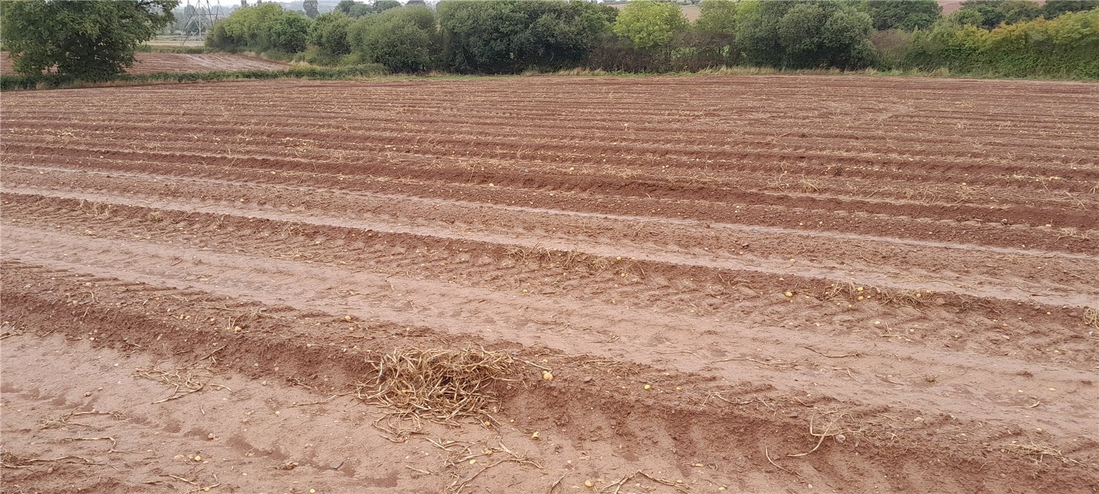 Land South Of Luckham Farm, Milverton, Taunton Somerset, TA21