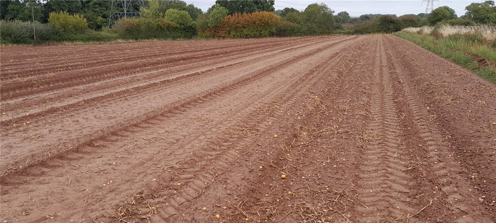 Land South Of Luckham Farm, Milverton, Taunton Somerset, TA21