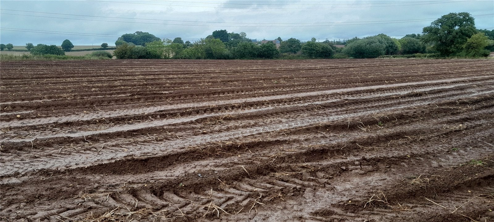 Land South Of Luckham Farm, Milverton, Taunton Somerset, TA21