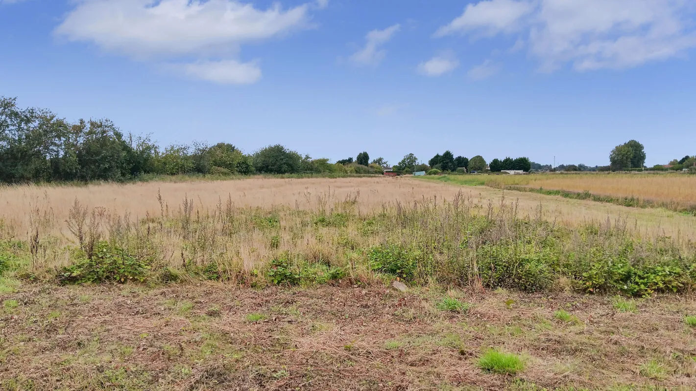 Bardyke Bank, Upwell, Wisbech, Norfolk, PE14