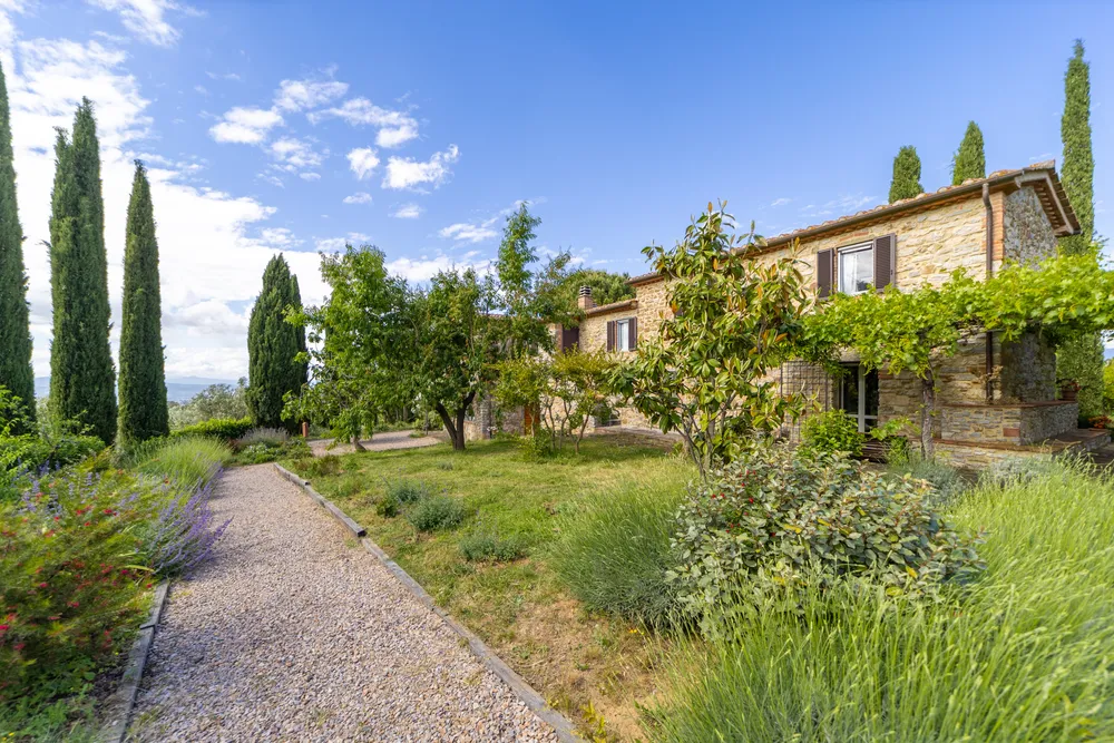 Scansano, Grosseto, Toscana