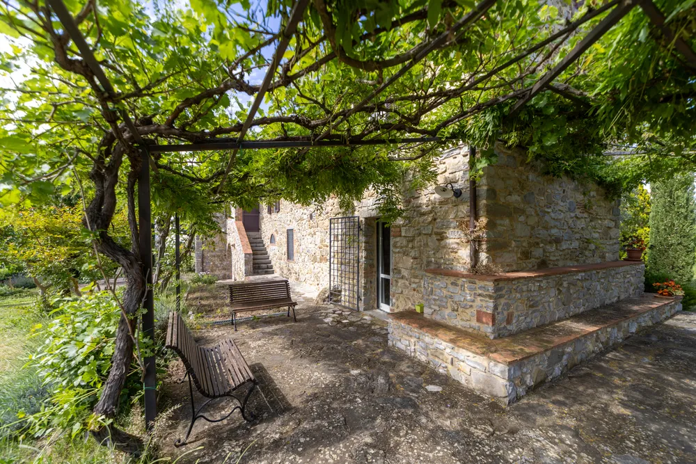 Scansano, Grosseto, Toscana