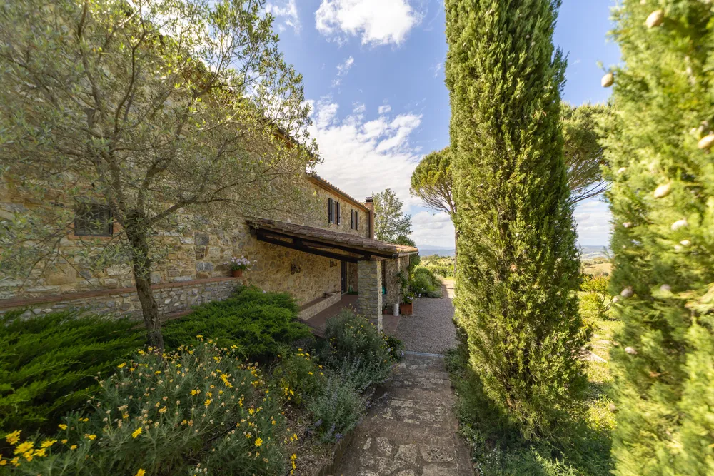 Scansano, Grosseto, Toscana