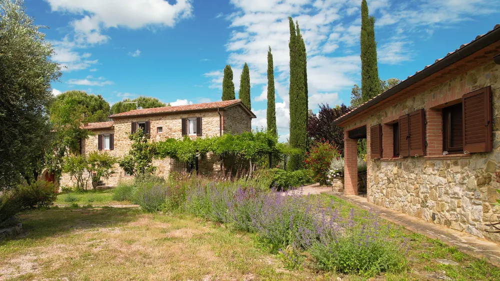 Scansano, Grosseto, Toscana