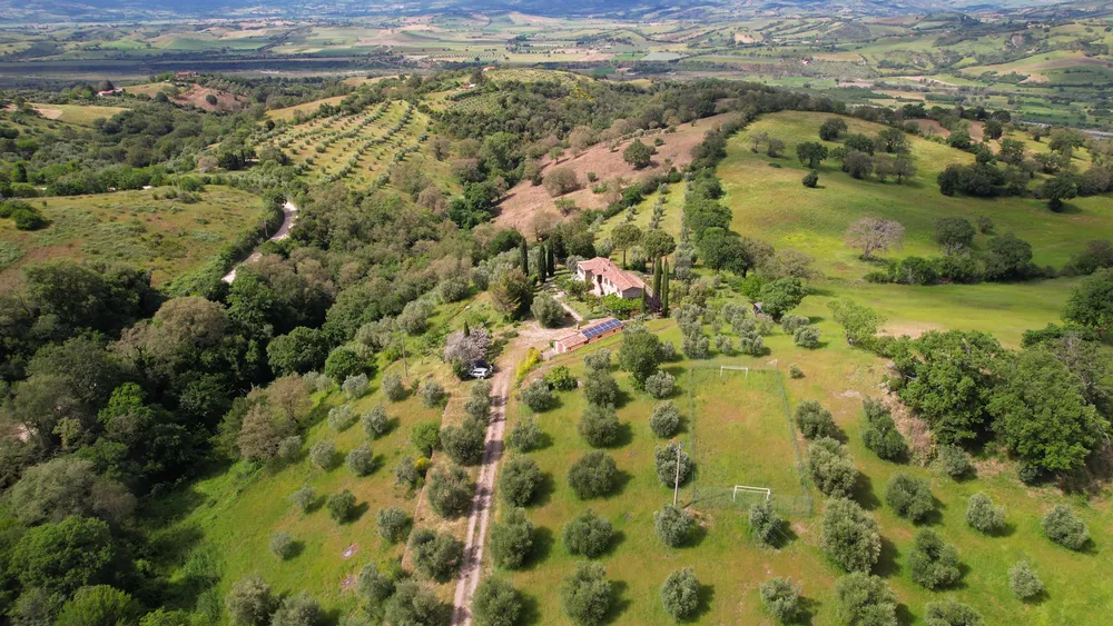 Scansano, Grosseto, Toscana