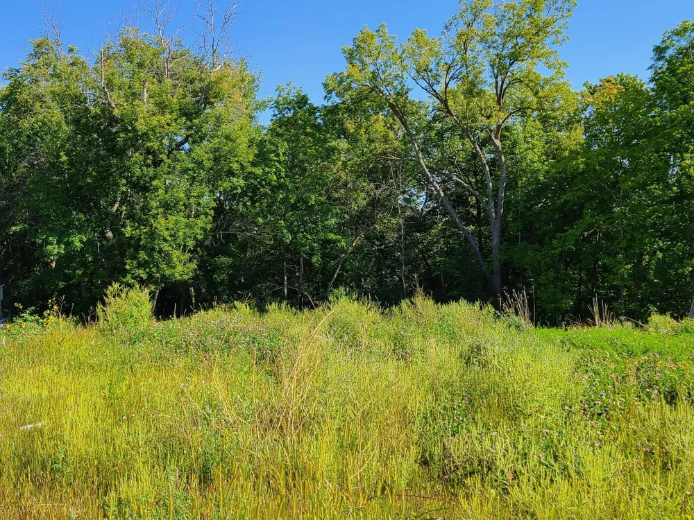 1050 Old Long Lake Rd, Wayzata, MN 55391
