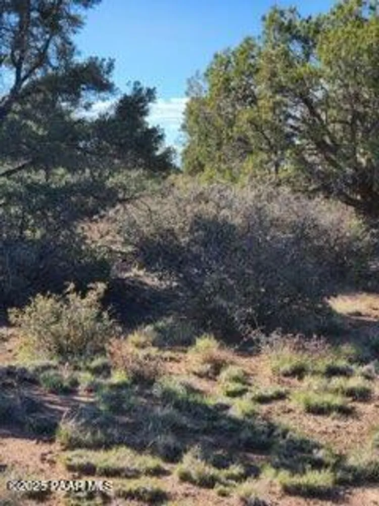 W Young Rd, Prescott, AZ 86305