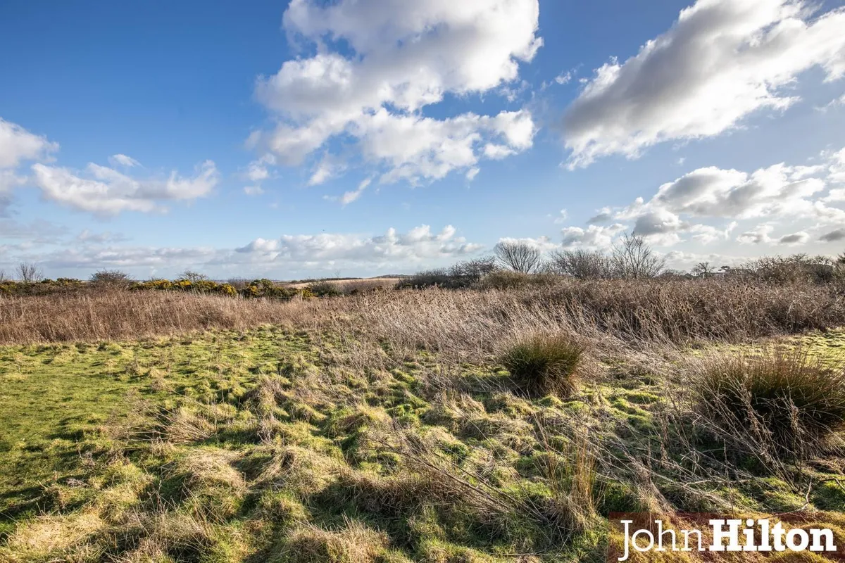 The Lookout, Peacehaven