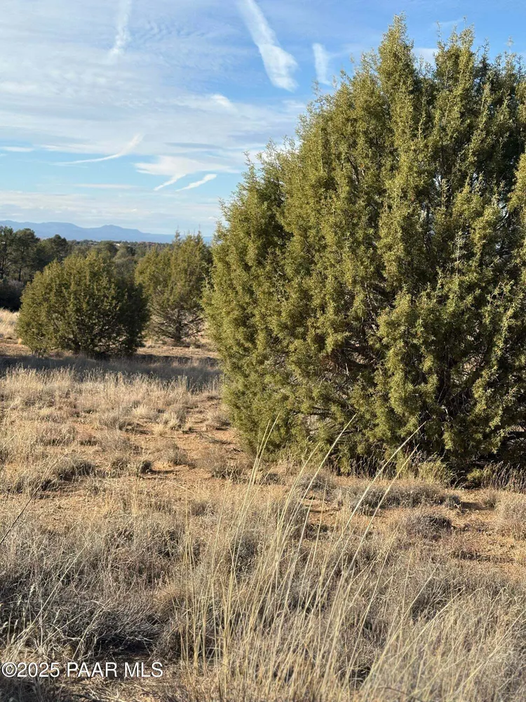 W Young Rd, Prescott, AZ 86305