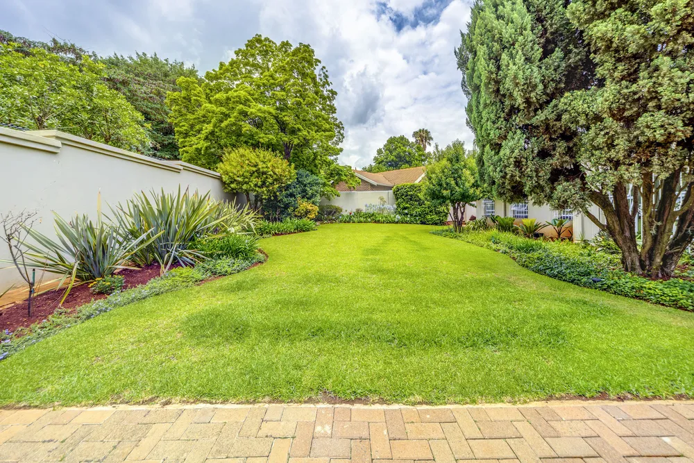 South Africa, Gauteng, Bedfordview, Nettleton Road, 3