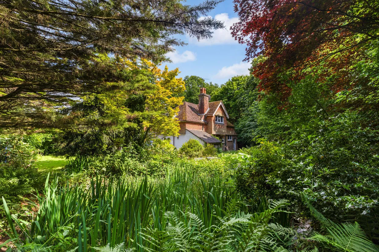 Rodgate Lane, Haslemere, GU27 photo 1