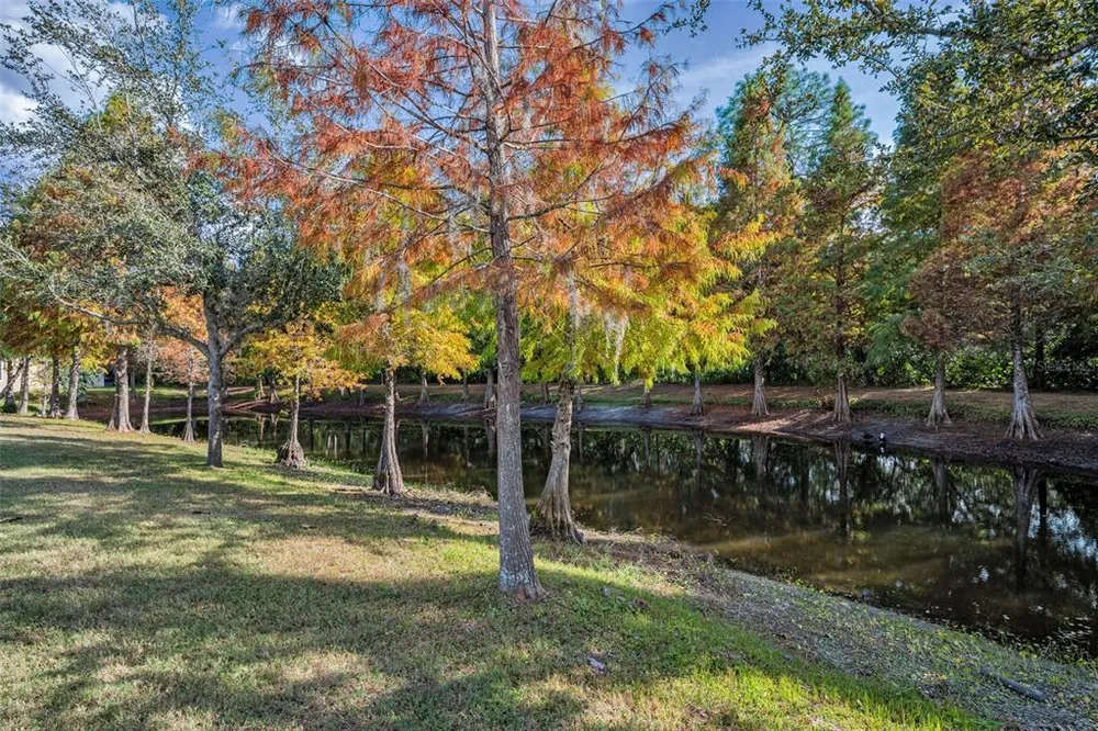 6942 Rocky Canyon Way, Tampa, FL 33625