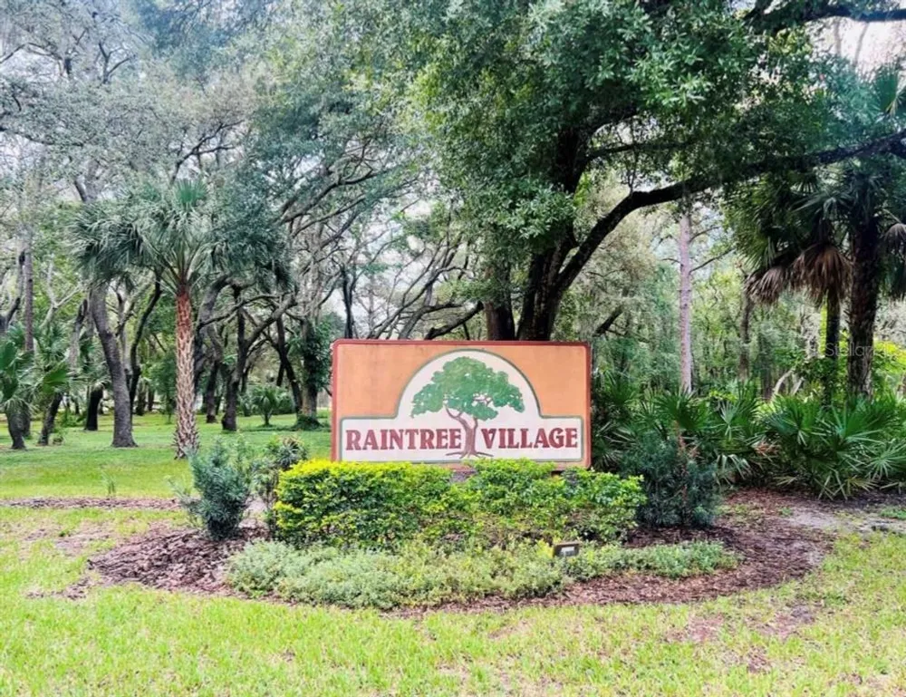 11707 Raintree Village Blvd, Temple Terrace, FL 33617