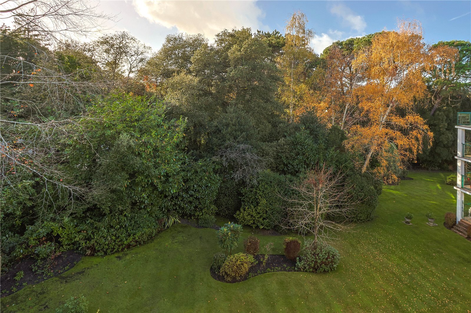 Avalon, Lilliput, Poole, Dorset, BH14 Image 22