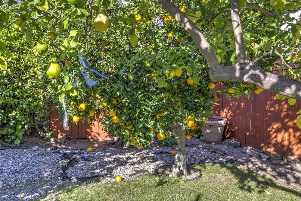 324 N Adams St, Glendale, CA 91206
