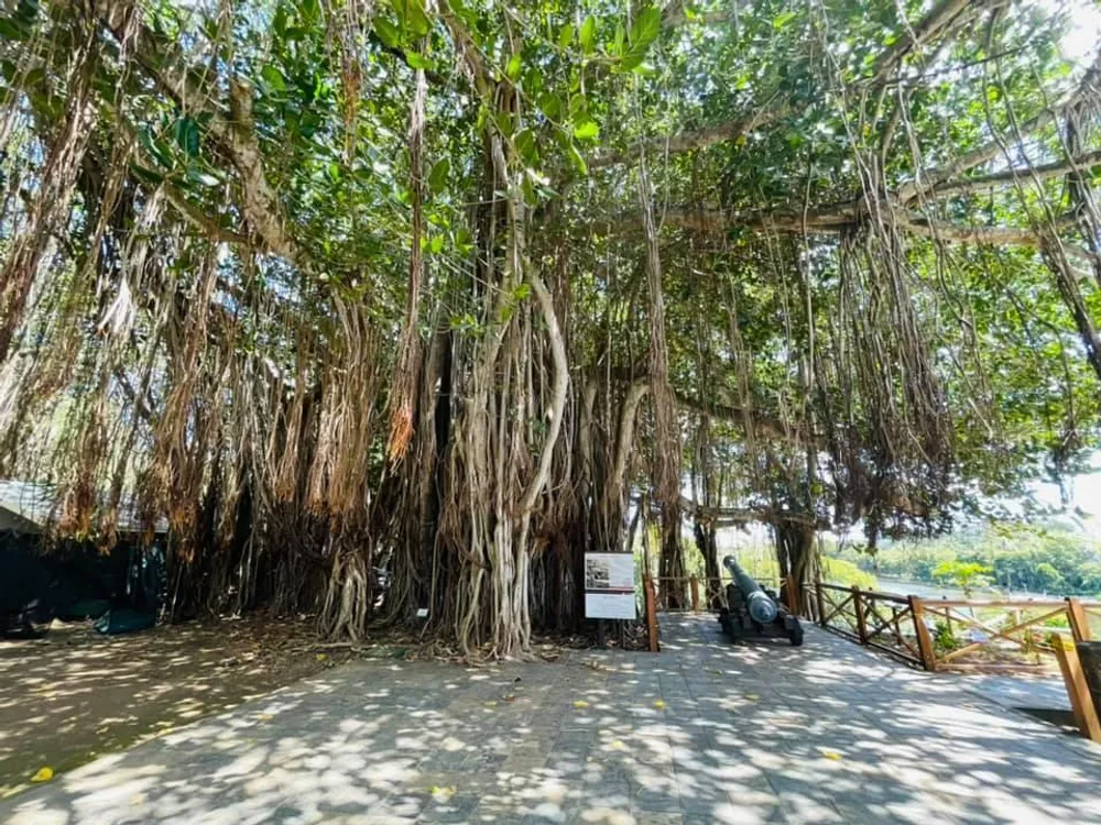 Balaclava, Mauritius