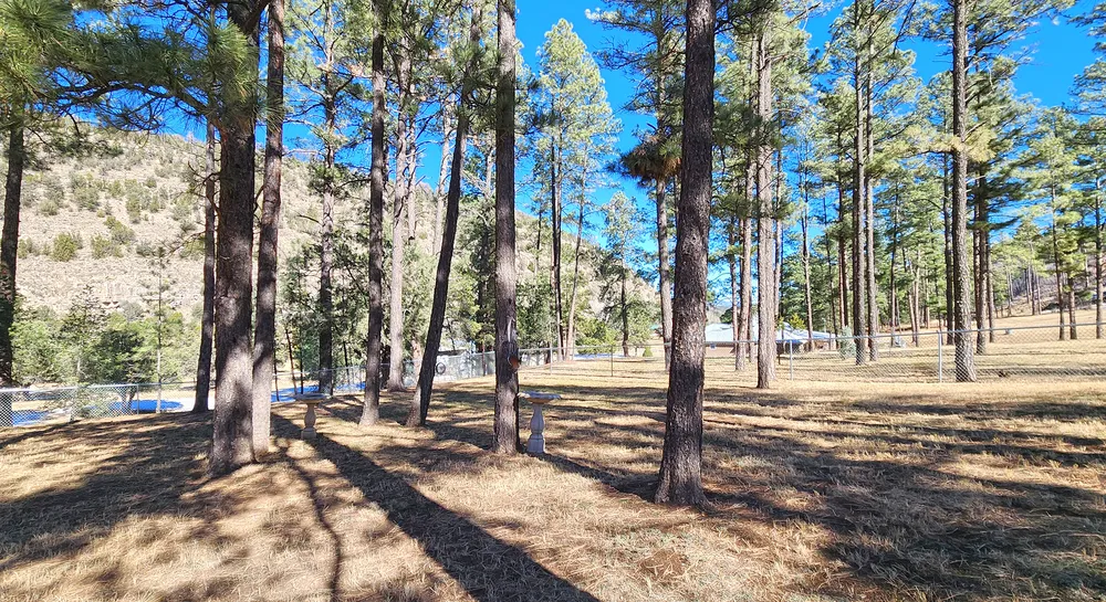 300 Eagle Creek Canyon Rd, Ruidoso, NM 88345