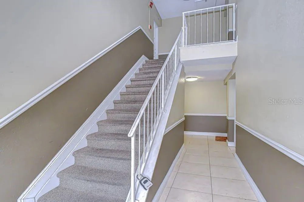 13693 Orange Sunset Dr, Tampa, FL 33618