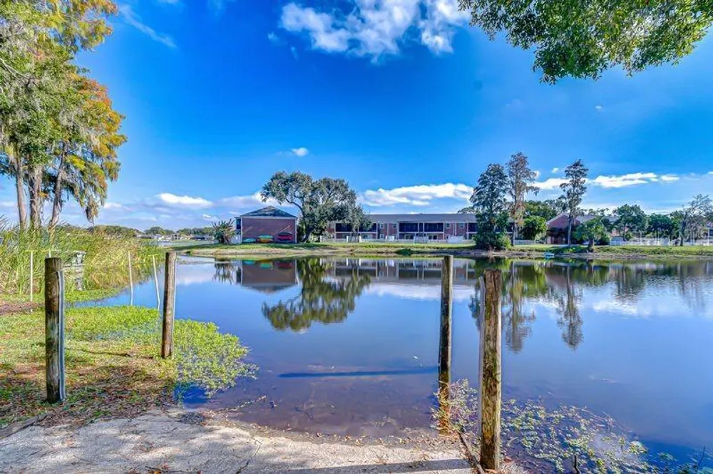 13693 Orange Sunset Dr, Tampa, FL 33618