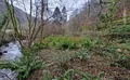 Property image gallery