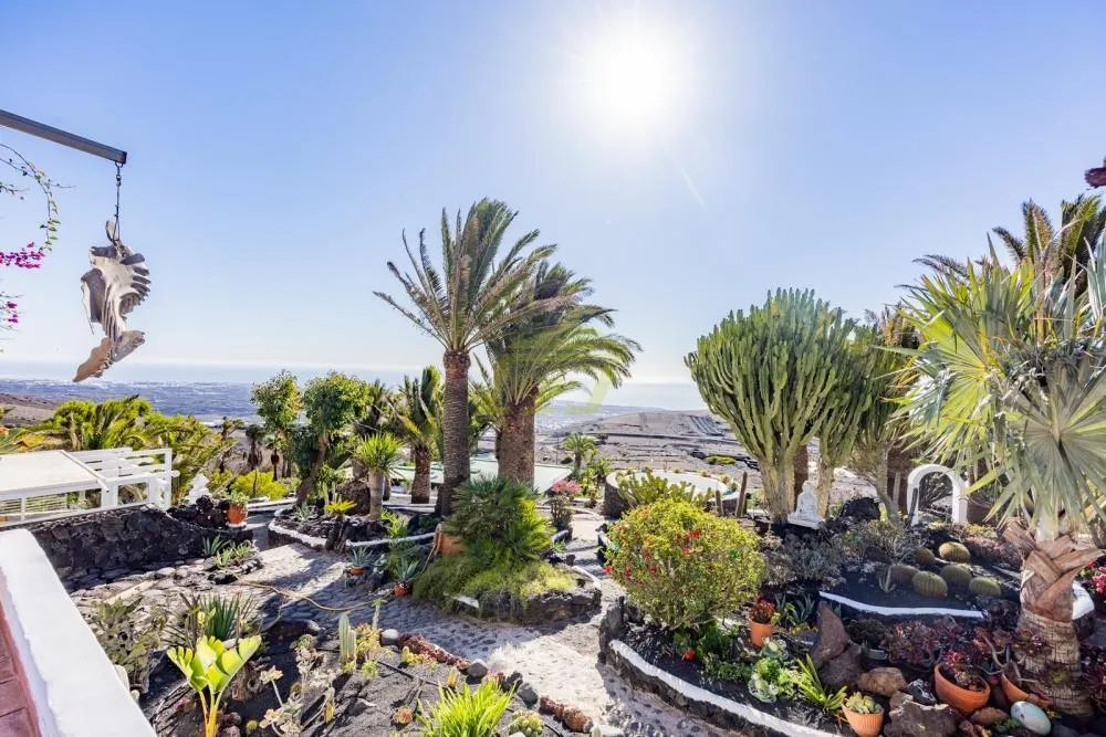 Lanzarote, La Asomada,