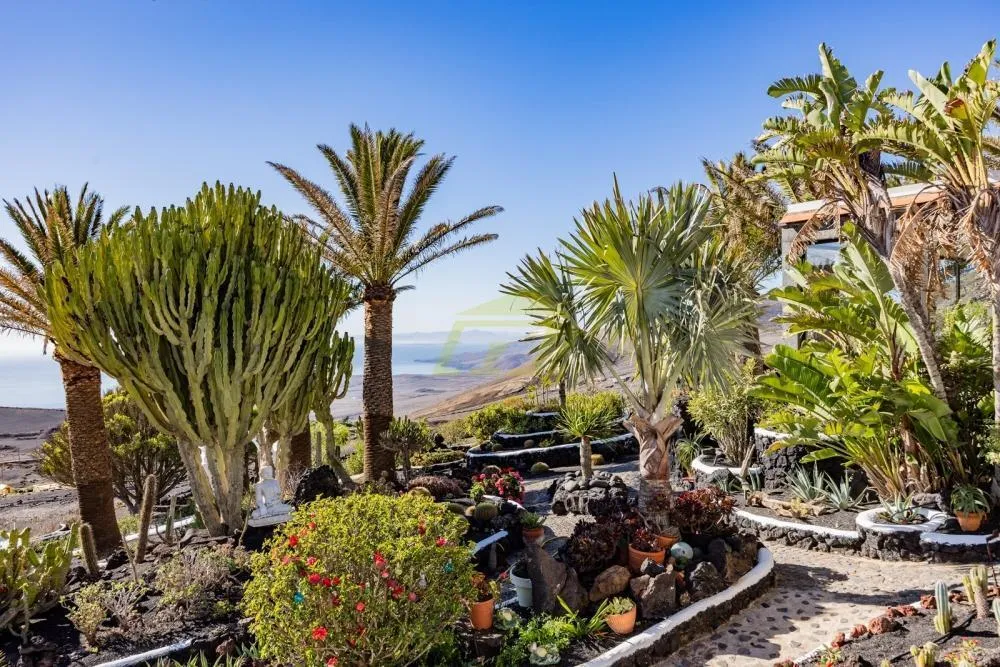 Lanzarote, La Asomada,