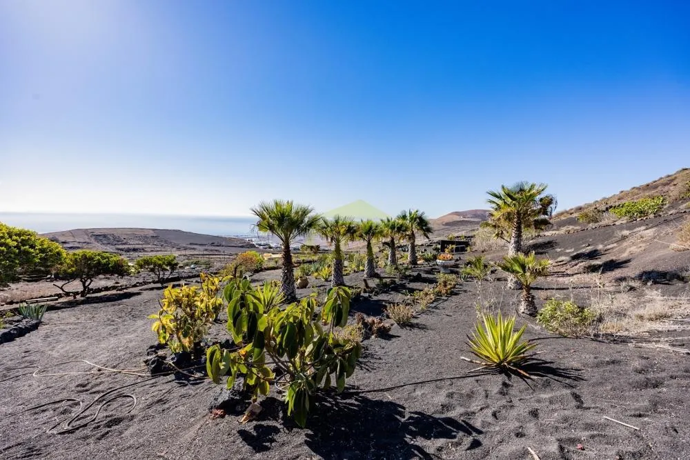 Lanzarote, La Asomada,