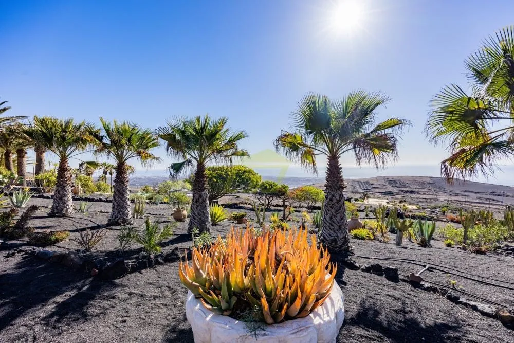 Lanzarote, La Asomada,