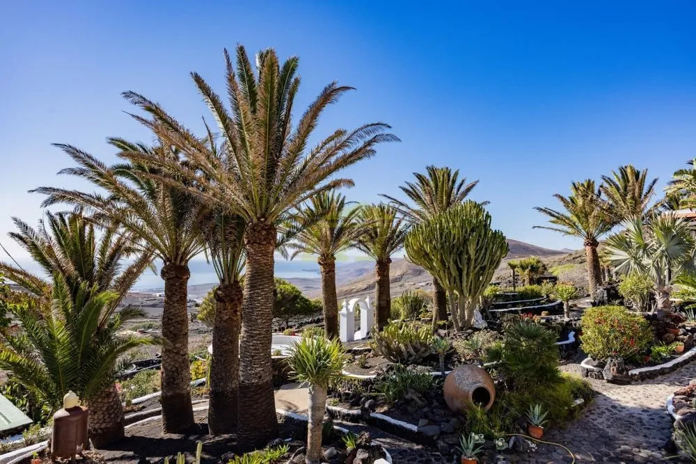 Lanzarote, La Asomada,